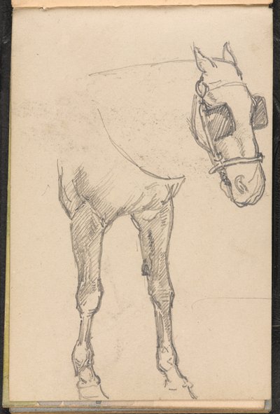 Sketch of Horse with Blinkers by William Barnes Wollen