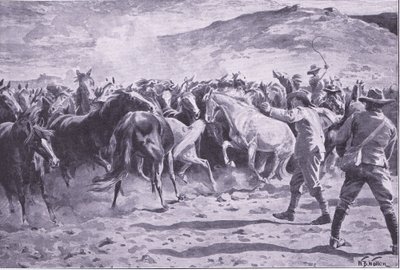 The capture of the horses in the Brandwater district near Fouriesburg: rounding up the drove (illustration from After Pretoria: The Guerilla War, 1902) by William Barnes Wollen