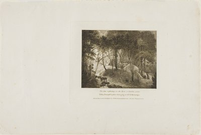 Sun Reflecting on the Dew, A Garden Scene by William Birch