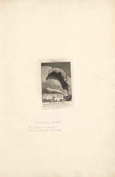 For the Sexes: The Gates of Paradise, Plate 1, Title Page by William Blake