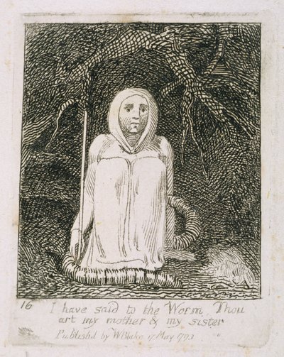I Have Said to the Worm Thou Art My Mother and My Sister, Plate 17 from 