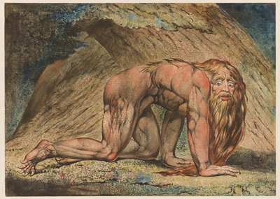 Nebuchadnezzar, 1795 by William Blake