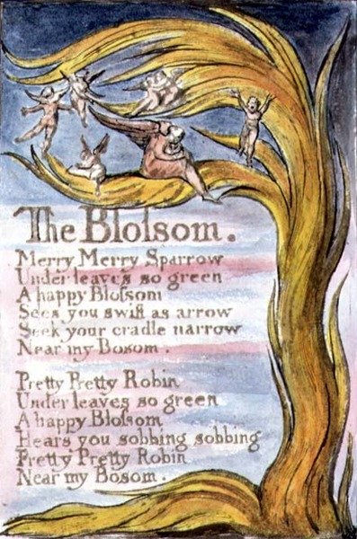 The Blossom: Plate 10 from Songs of Innocence and of Experience (Copy R) c.1802-08 by William Blake