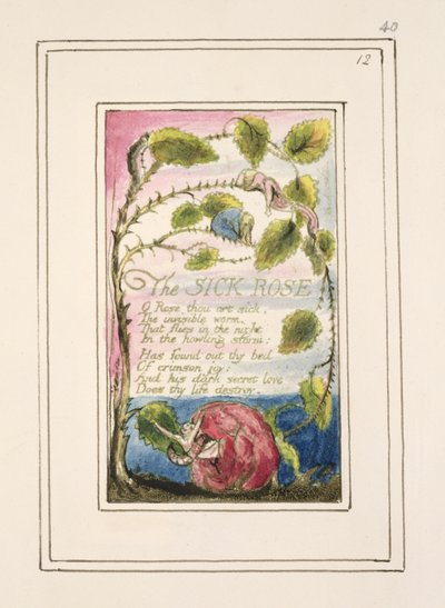 The Sick Rose: plate 40 from 
