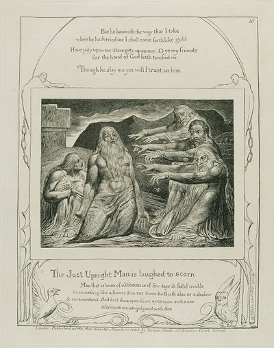 Plate 14, from 