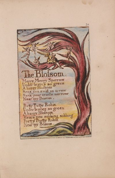 Songs of Innocence and of Experience, Plate 20, The Blossom (Bentley 11) by William Blake