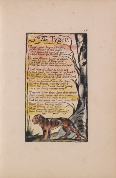 Songs of Innocence and of Experience, Plate 36, The Tyger (Bentley 42) by William Blake