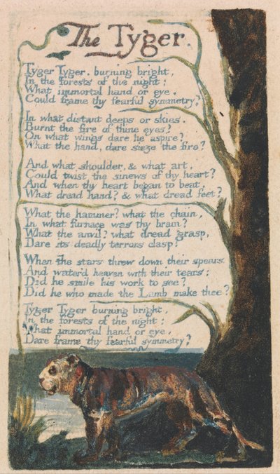 Songs of Innocence and of Experience, Plate 42, The Tyger (Bentley 42) by William Blake