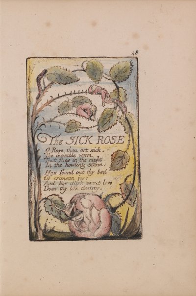 Songs of Innocence and of Experience, Plate 48, The Sick Rose (Bentley 39) by William Blake