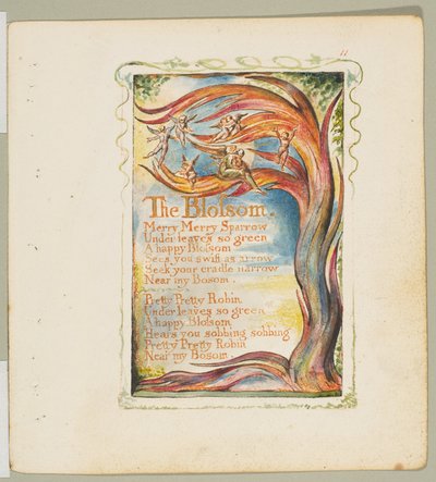 Songs of Innocence and of Experience: The Blossom: Merry Merry Sparrow by William Blake
