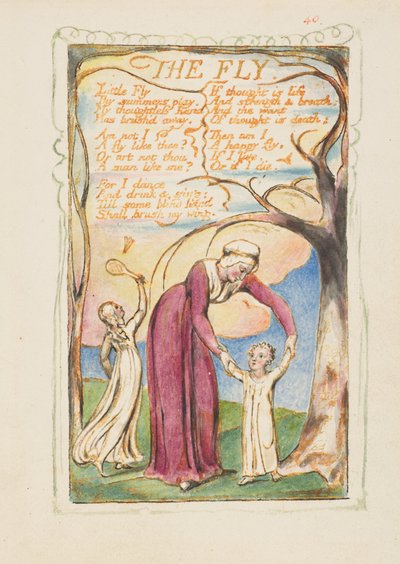 Songs of Innocence and of Experience: The Fly, ca. 1825 by William Blake