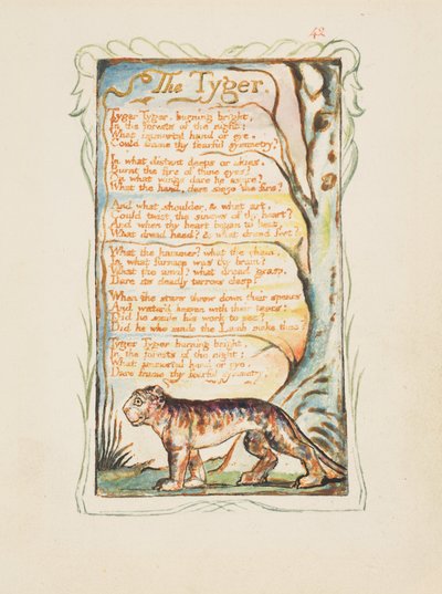 Songs of Innocence and of Experience: The Tyger, c.1825 by William Blake