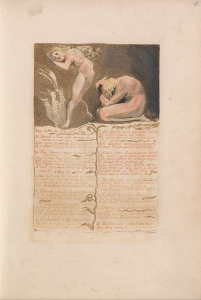 The First Book of Urizen, Plate 19, They Call