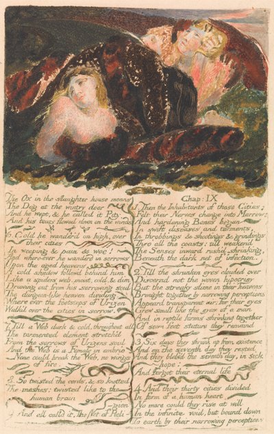 The First Book of Urizen, Plate 23: "The Ox in the Slaughter House Moans . . . ." (Bentley 25) by William Blake