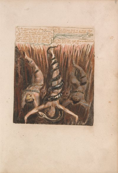 The First Book of Urizen, Plate 9, As the Stars Are Apart from the Earth.... (Bentley 6) by William Blake