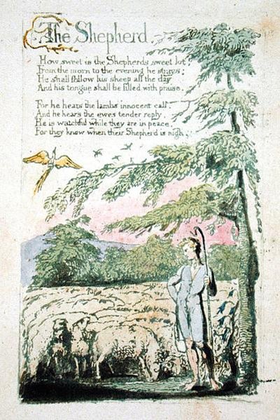 The Shepherd, plate 4 recto from 