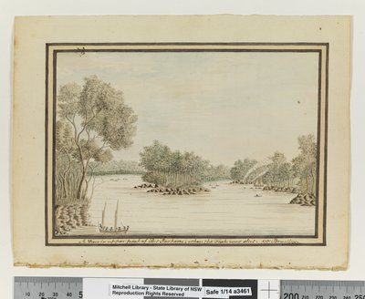 A View in upper part of Port Jackson; when the Fish was shot, c.1802 by William Bradley
