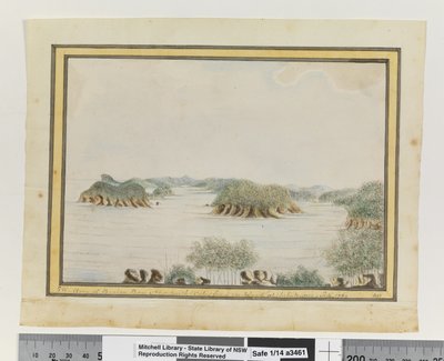 SW. Arm of Broken Bay New South Wales from an Island at the Entrance. Sepr 1789 by William Bradley