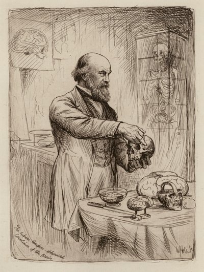 William Turner, Professor of Anatomy by William Brassey (after) Hole