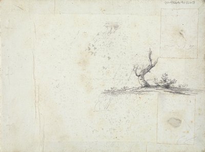 Sketch of a Tree (inverted) by William Brockedon