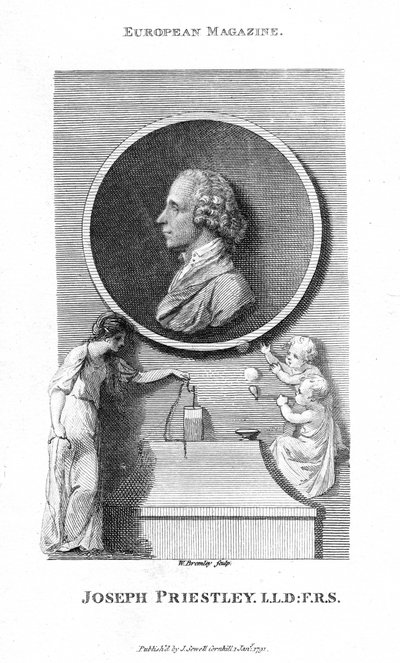 Joseph Priestley, English Chemist and Presbyterian Minister, 1791 by William Bromley