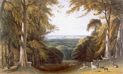 Glen in Windsor Park near Bishops Gate, c. 1827-1830 by William Daniell