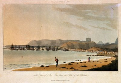 Ile de France (Mauritius), seen of the city of Port Louis, from the west of the port by William Daniell
