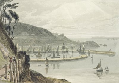 Torquay, Devon, from Volume VIII of 