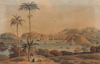 View of the Town of St. George and Richmond Heights in the Island of Grenada, Taken from the Bay by Lieutenant Colonel Wilson by William Daniell