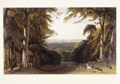 Windsor Castle from the Deer Park by William Daniell