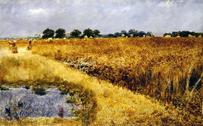A Field of Corn by William Davis