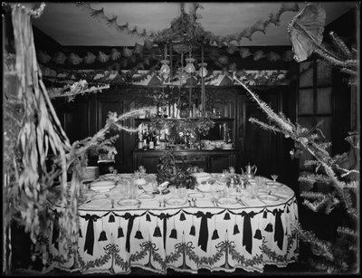Interior of the residence of Mr. and Mrs. William Mill Butler, decorated for Christmas, January 4, 1917 by William Davis Hassler