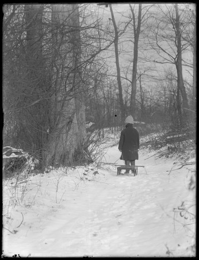 William Gray Hassler pulling his sled through snowy woods by William Davis Hassler