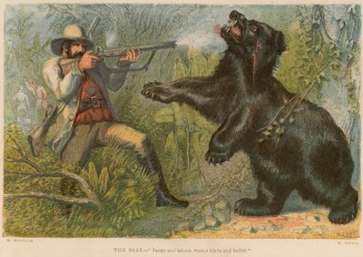 The Bear by William Dickes