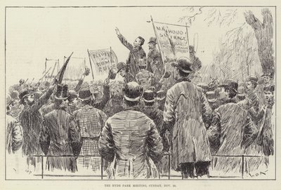 The Hyde Park Meeting, Sunday, 20 November by William Douglas Almond