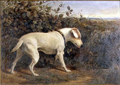 Terrier in a Landscape by William Elsob Marshall