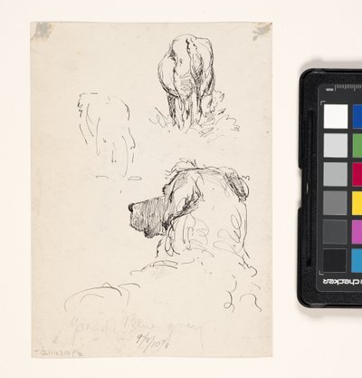 Dog (Recto), Dog And Cow (Verso) by William Forsyth