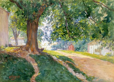 The Constitutional Elm by William Forsyth