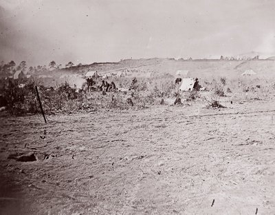 Distant View of Fort Brady by William Frank Browne