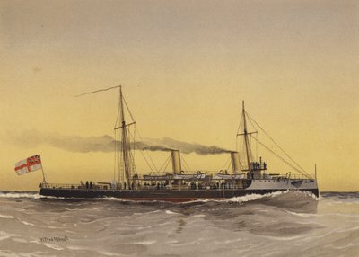 HMS Speedwell, Torpedo Gunboat by William Frederick Mitchell