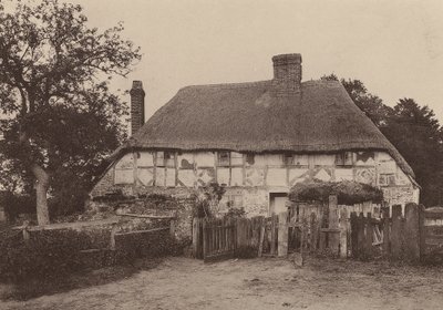 Near Fittleworth, West Sussex by William Galsworthy Davie