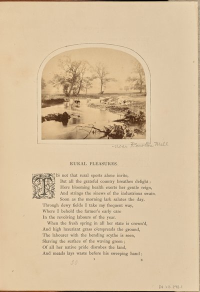 Pastoral scene with cattle in a flooded field, England by William Grundy