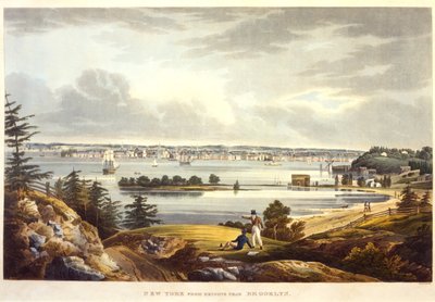 New York from Heights near Brooklyn by William Guy Wall