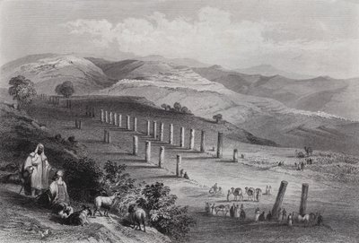 Sebaste, The Ancient City of Samaria (engraving) by William H. Bartlett