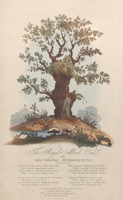 The Royal Allied Oak and Self-Created Mushroom Kings by William Heath