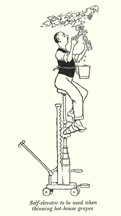 Self-elevator to be used when thinning hot-house grapes by William Heath Robinson
