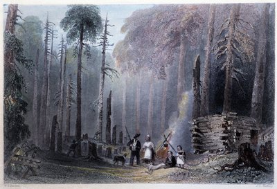 First Settler Installation - in 