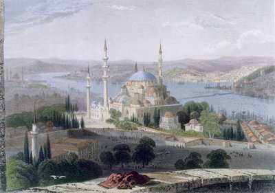 Mosque and Tomb of Suleiman, c.1850 by William Henry Bartlett