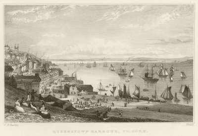 Queenstown harbour by William Henry Bartlett