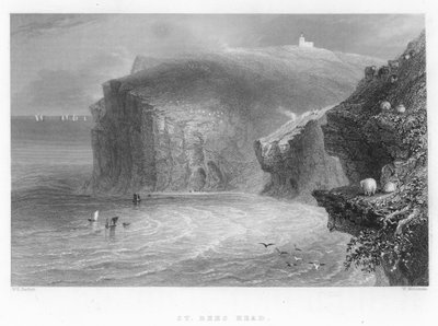 St Bees Head by William Henry Bartlett